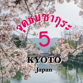 5 จุดชมซากุระที่ เกียวโต ประเทศญี่ปุ่น บอกเลยว่าปีนี้ฉ่ำมาก!!