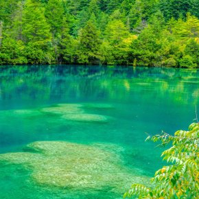 ทะเลสาบมังกรคู่ (Twin Dragon Lake) จิ่วจ้ายโกว