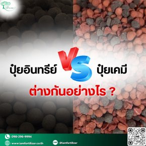 ปุ๋ยอินทรีย์ VS ปุ๋ยเคมี ต่างกันอย่างไร ?