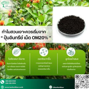 ทำไมสวนเงาะควรเริ่มจาก  ปุ๋นอินทรีย์ เม็ด OM20% 