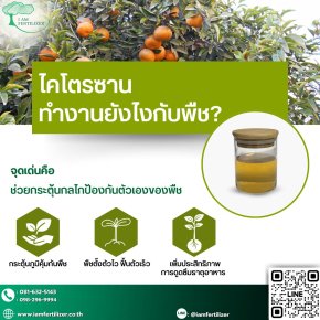 ไคโตซานทำงานยังไงกับพืช ?