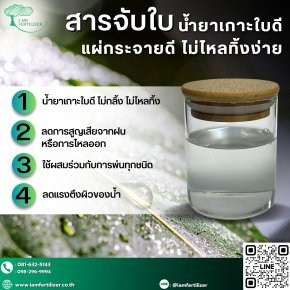 สารจับใบ น้ำยาเกาะใบดีแผ่กระจายดี ไม่ไหลทิ้งง่าย