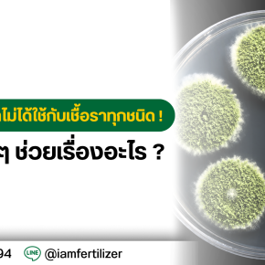 ไตรโคเดอร์มาไม่ได้ใช้กับเชื้อราทุกชนิด !  แล้วจริง ๆ ช่วยเรื่องอะไร ?