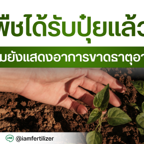 พืชได้รับปุ๋ยแล้ว แต่ทำไมยังแสดงอาการขาดธาตุอาหาร ?