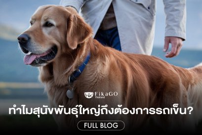 ทำไมสุนัขพันธุ์ใหญ่ถึงต้องการรถเข็นสัตว์เลี้ยง?