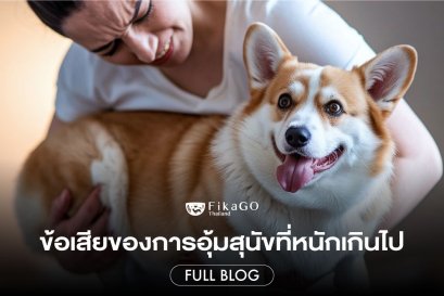 ข้อเสียของการอุ้มสุนัขที่หนักเกินไป  ทำไมรถเข็นสัตว์เลี้ยงจึงเป็นตัวช่วยที่ดีกว่า?