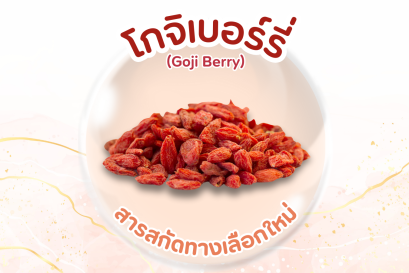 สารสกัดทางเลือกใหม่ โกจิเบอร์รี่ 