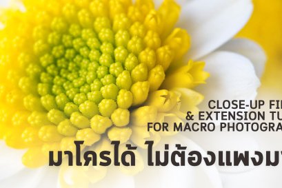 มาโครได้ ไม่ต้องแพงมาก