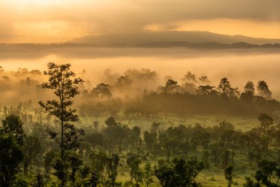 รีวิว Tokina Firin 100mm F2.8 FE Macro โดย พี่โก๊ะ กล้องกล้วยกล้วย