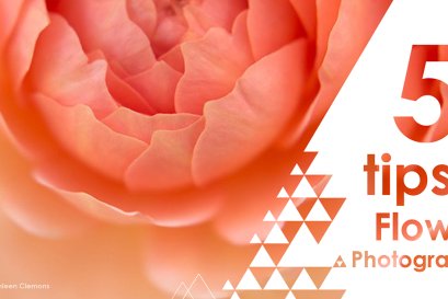 เทคนิคถ่ายภาพดอกไม้ให้สวยอย่างโปรฯ