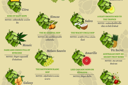 Hops: The MVP of Hazy IPAs