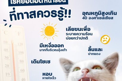 ฮีทสโตรก โรคยอดฮิตหน้าร้อน ที่ทาสควรรู้!!