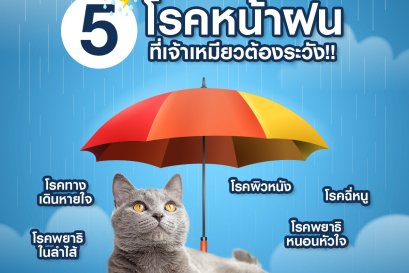 5 โรคหน้าฝน ที่เจ้าเหมียวต้องระวัง!!