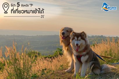 ชี้เป้า 5 จังหวัด ที่เที่ยวน้องมาเข้าได้