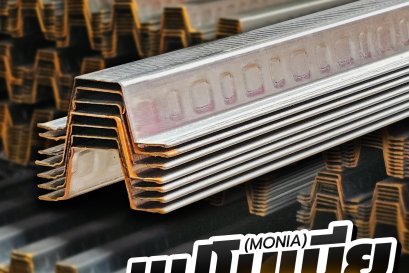 แปโมเนียทำหน้าที่อะไรบนโครงสร้างบ้าน