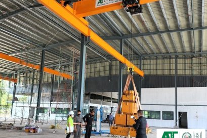Hoist and Cranes Professional