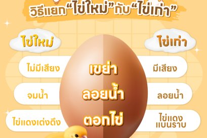 วิธีเเยก ไข่ใหม่ กับ ไข่เก่า