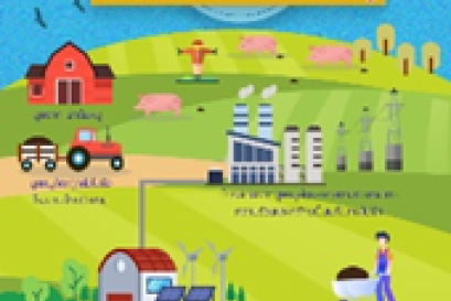 รู้หรือไม่ มีฟาร์มหมูก็สามารถที่จะผลิตพลังงานไฟฟ้าได้