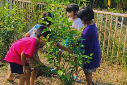 คิดถึงผลไม้ของวันวาน