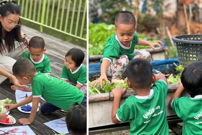 ประโยชน์ของผักกาดขาวที่เด็กๆ ควรรู้