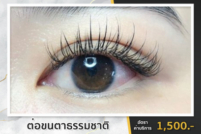 10. ต่อขนตาธรรมชาติเส้นต่อเส้น Classic Techique