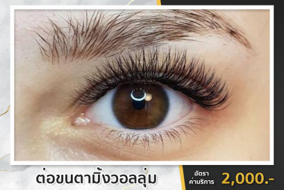 11. ต่อขนตามิ้งวอลลุ่ม Volume Lash Technique