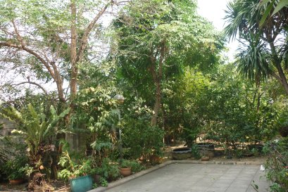 โครงการบ้านที่ตั้งอยู่ ถ.สวนผัก