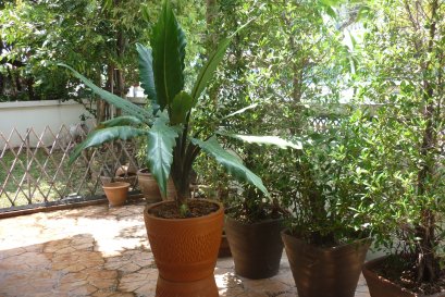 โครงการหมู่บ้าน ยัวร์เฮ้าส์ - บางกรวย