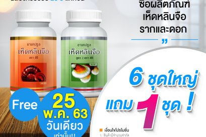 Wow! Ganoderma D-Day Promotion 