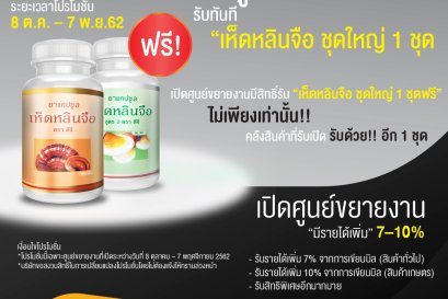โปรโมชั่นพิเศษ 