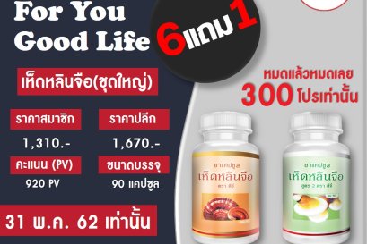 เห็ดหลินจือ 6แถม1