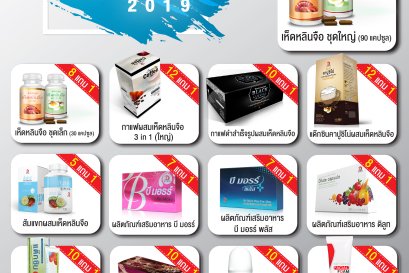 DAXIN MINI EXPO Promotion 2019 