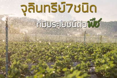 จุลินทรีย์ 7ชนิดที่สำคัญมากกก