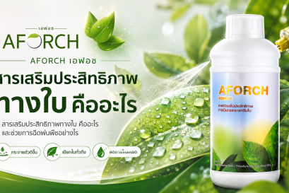 AFORCH เอฟอช สารเสริมประสิทธิภาพทางใบ ช่วยให้สารฉีดพ่นกระจายตัว เปียกใบ และลดการไหลหยด