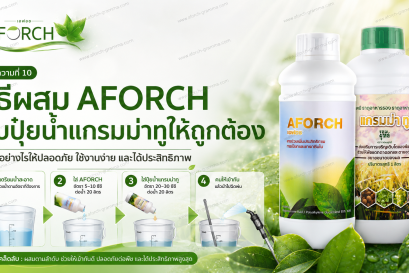 วิธีผสม AFORCH กับปุ๋ยน้ำแกรมม่าทูให้ถูกต้อง เติมน้ำก่อน ใส่เอฟอช แล้วจึงใส่แกรมม่าทู