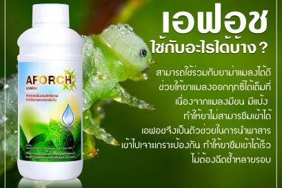 เอฟอชไม่ใช่สารจับใบ แต่เป็นอะไรที่ดีกว่า