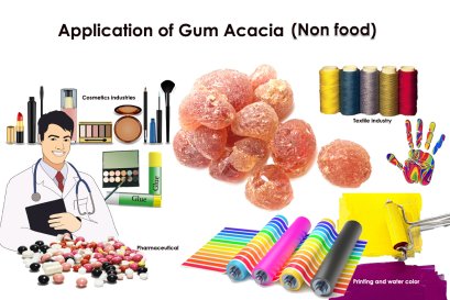 Application of Gum Arabic Non food