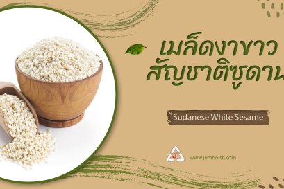 Sudanese White Sesame