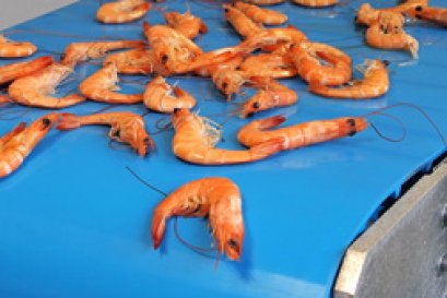 สายพานลำเลียงสำหรับอุตสาหกรรมอาหารคุณภาพดี