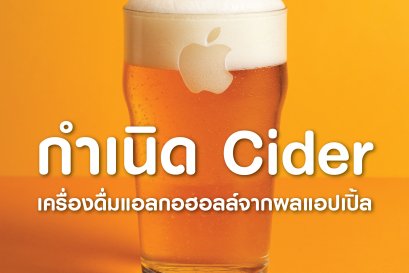 กำเนิด Cider (ไซเดอร์) เครื่องดื่มแอลกฮอลล์จากผลแอปเปิ้ล 