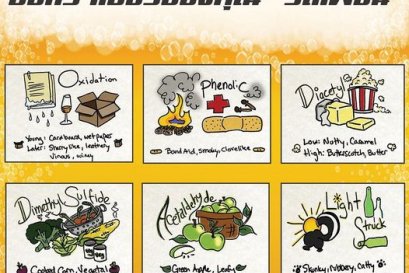 6 อาการที่บ่งบอกว่า เบียร์ ที่เราทำรสเพี้ยน (Off-Flavors)