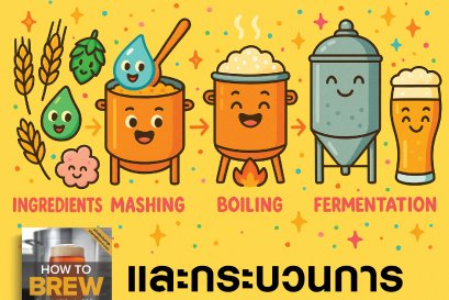 เบียร์ทำจากอะไร และกระบวนการทำเบียร์อย่างง่าย?