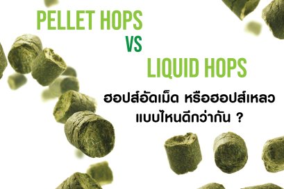 ฮอปส์แบบอัดเม็ด หรือ ฮอปส์แบบเหลว แบบไหนทำเบียร์ได้ดีกว่ากัน ???