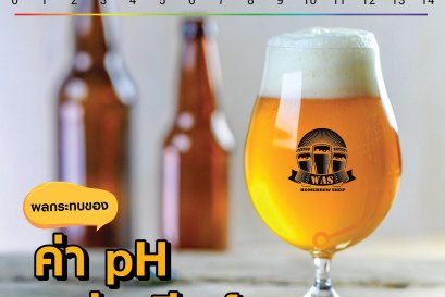 ผลกระทบของค่า pH ต่อการทำเบียร์ 