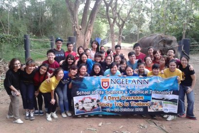 Student or  School Tour