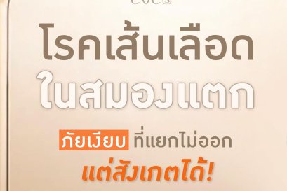 สรุปอาการเส้นเลือดในสมองแตก/ตีบ