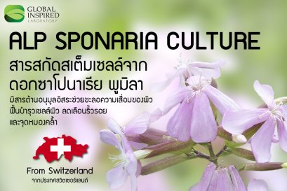 "สารสกัดสเต็มเซลล์จากดอกซาโปนาเรีย พูมิลา"