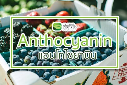 แอนโทไซยานิน สารช่วยบำรุงสายตา