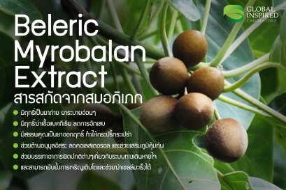 สมอภิเภก สารสกัดช่วยต้านมะเร็ง