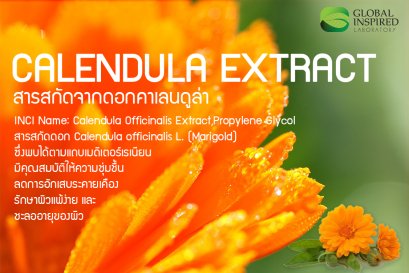 Calendula Extract คืออะไร